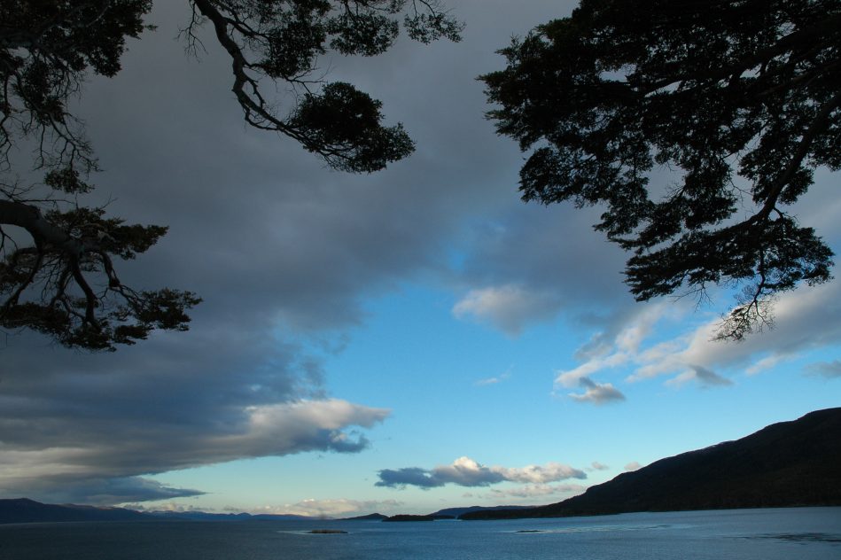 Manuel Araneda Castex