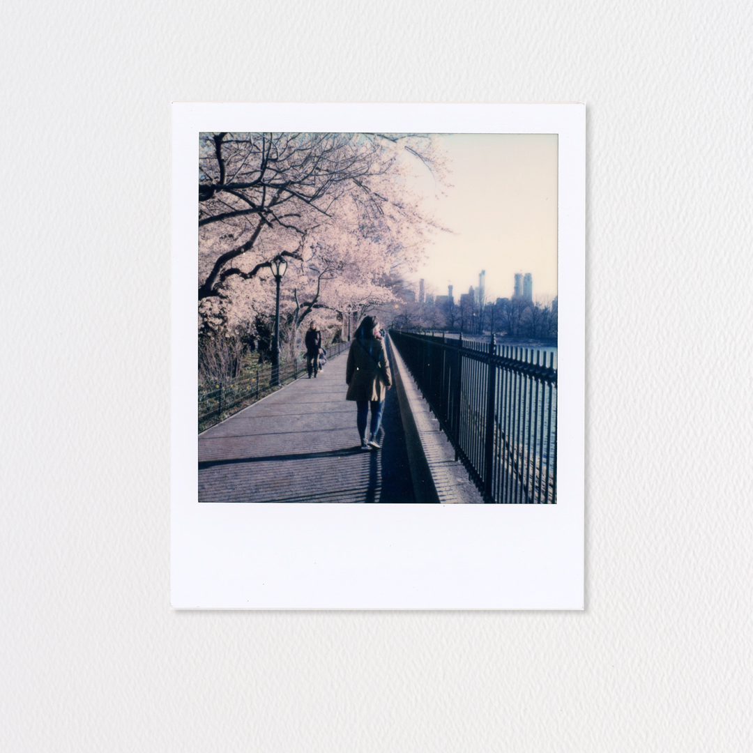 Proyecto analogo
