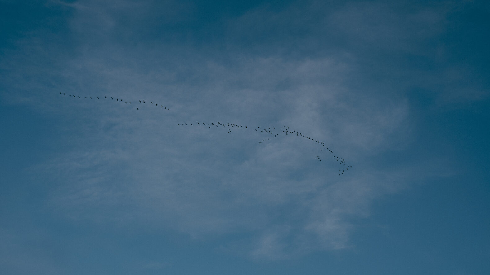 Mercelo quinones islandia