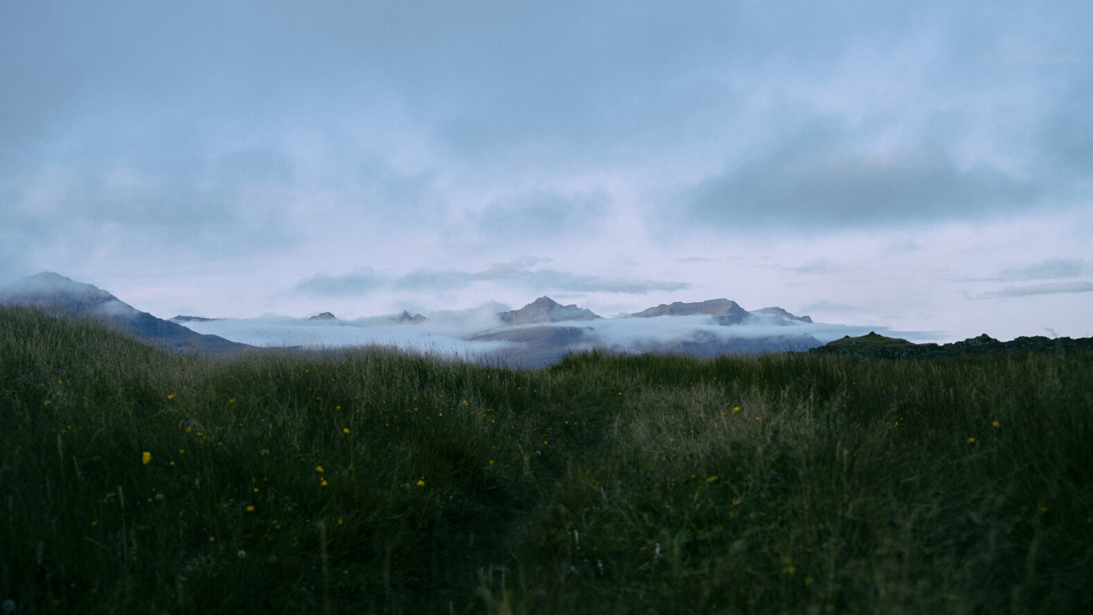 Mercelo quinones islandia