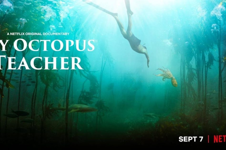 My Octopus Teacher
