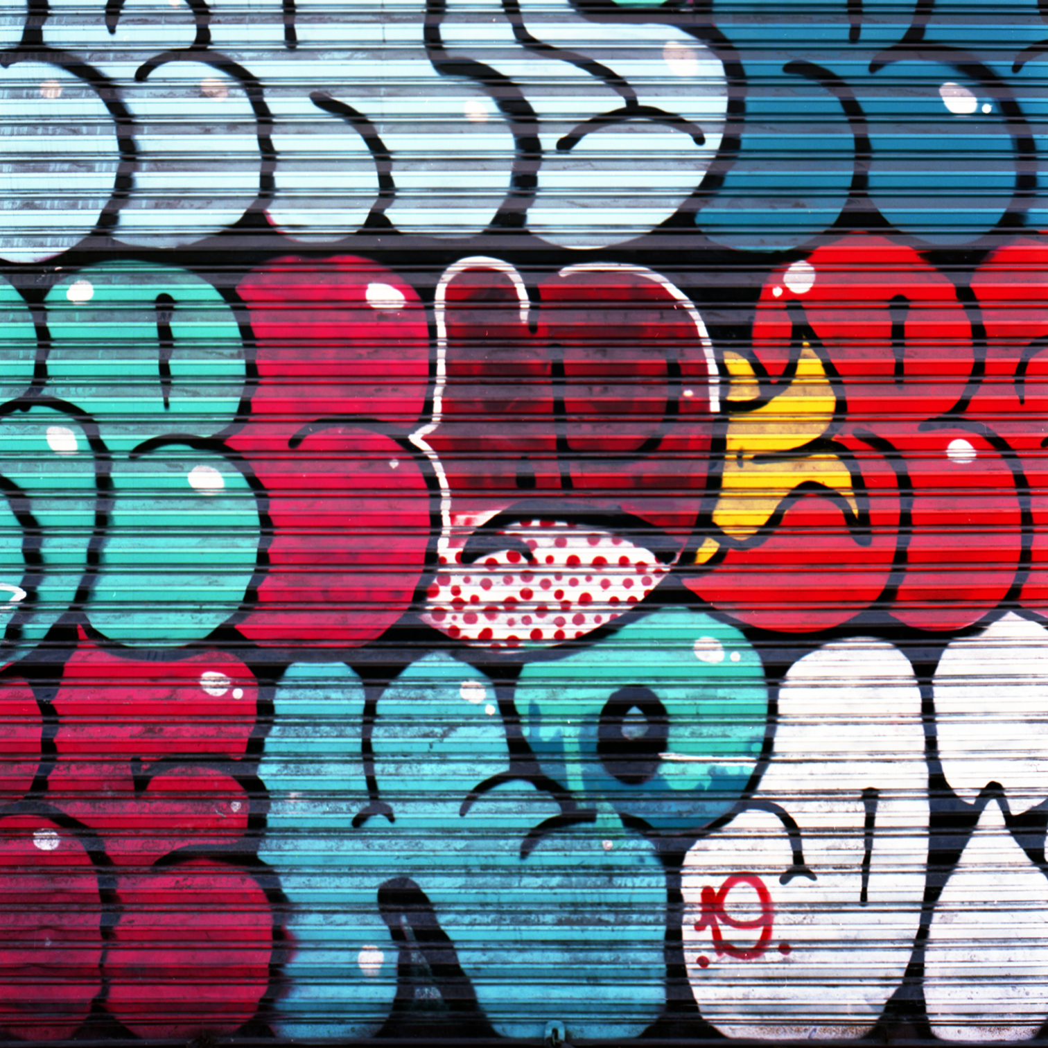 proyecto analogo