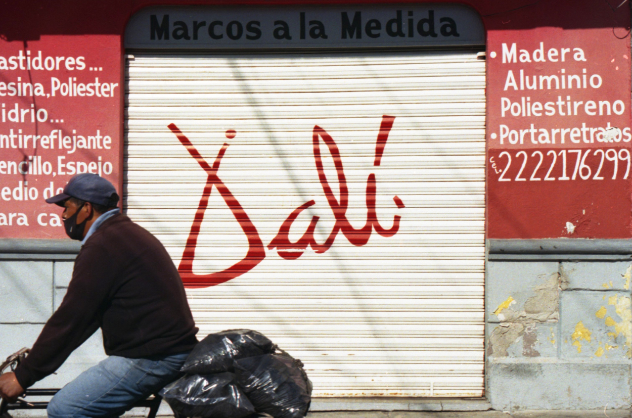 proyecto analogo