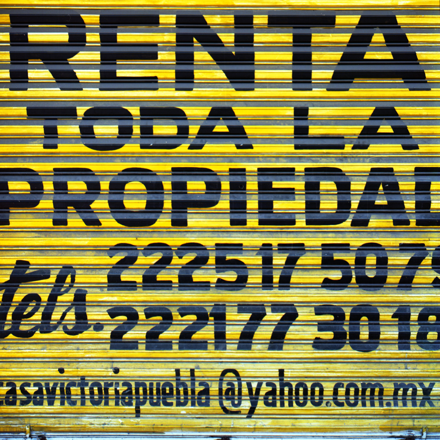 proyecto analogo
