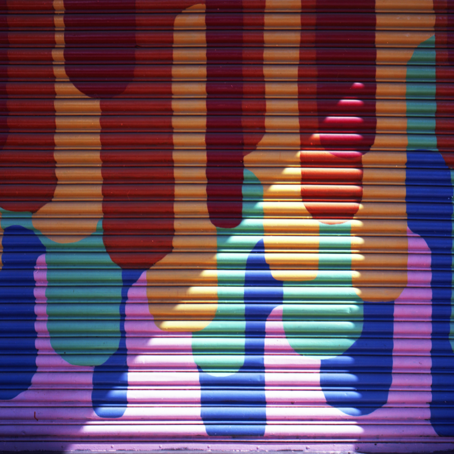 proyecto analogo