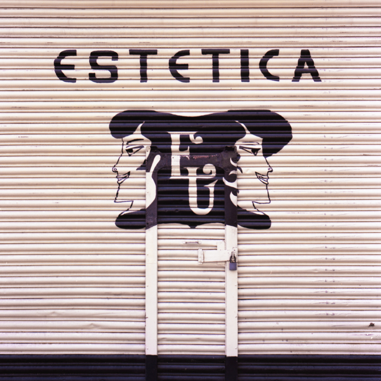 proyecto analogo