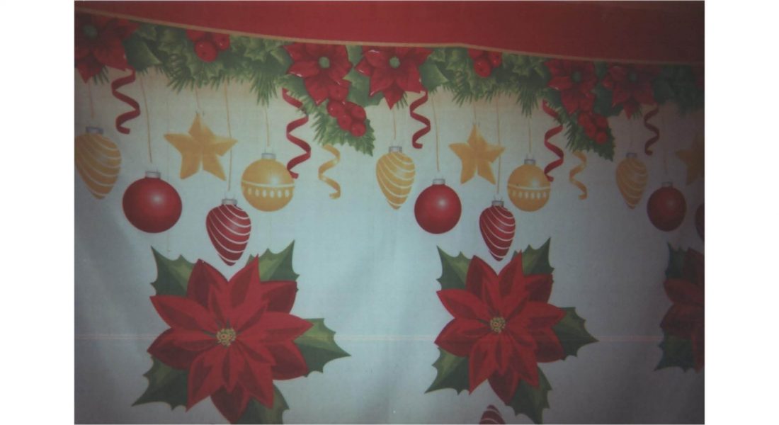 Diego Leyva Carlos noyola