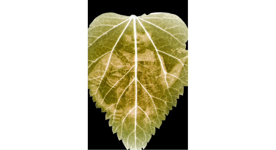 Cristian Prieto Ávila