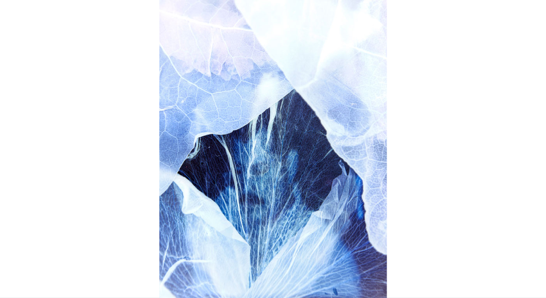 Cristian Prieto Ávila