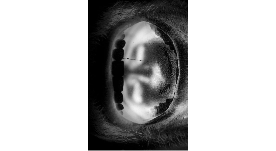 Cristian Prieto Ávila