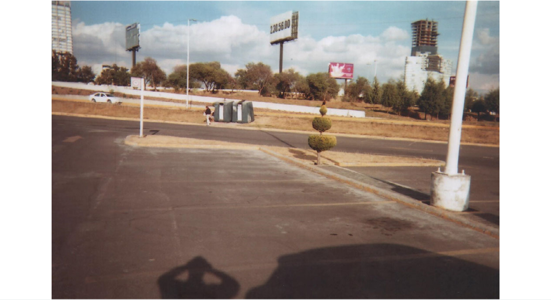 Carlos Noyola Diego Leyva