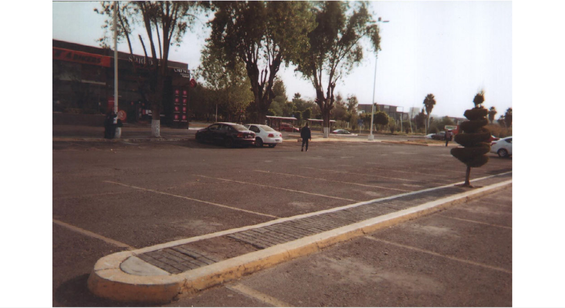 Carlos Noyola Diego Leyva