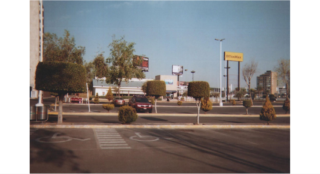 Carlos Noyola Diego Leyva