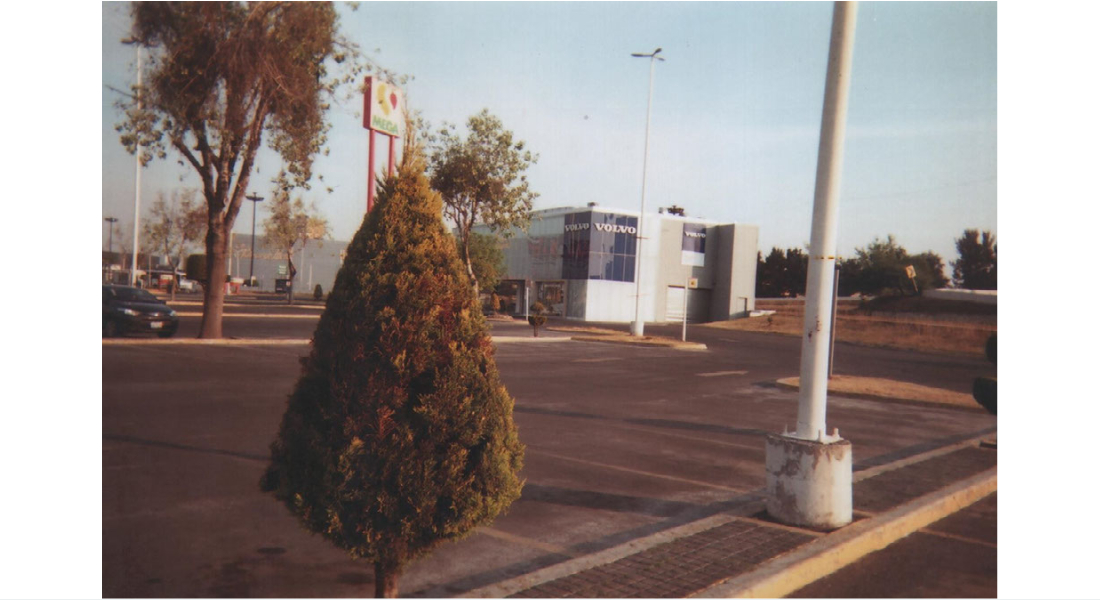 Carlos Noyola Diego Leyva