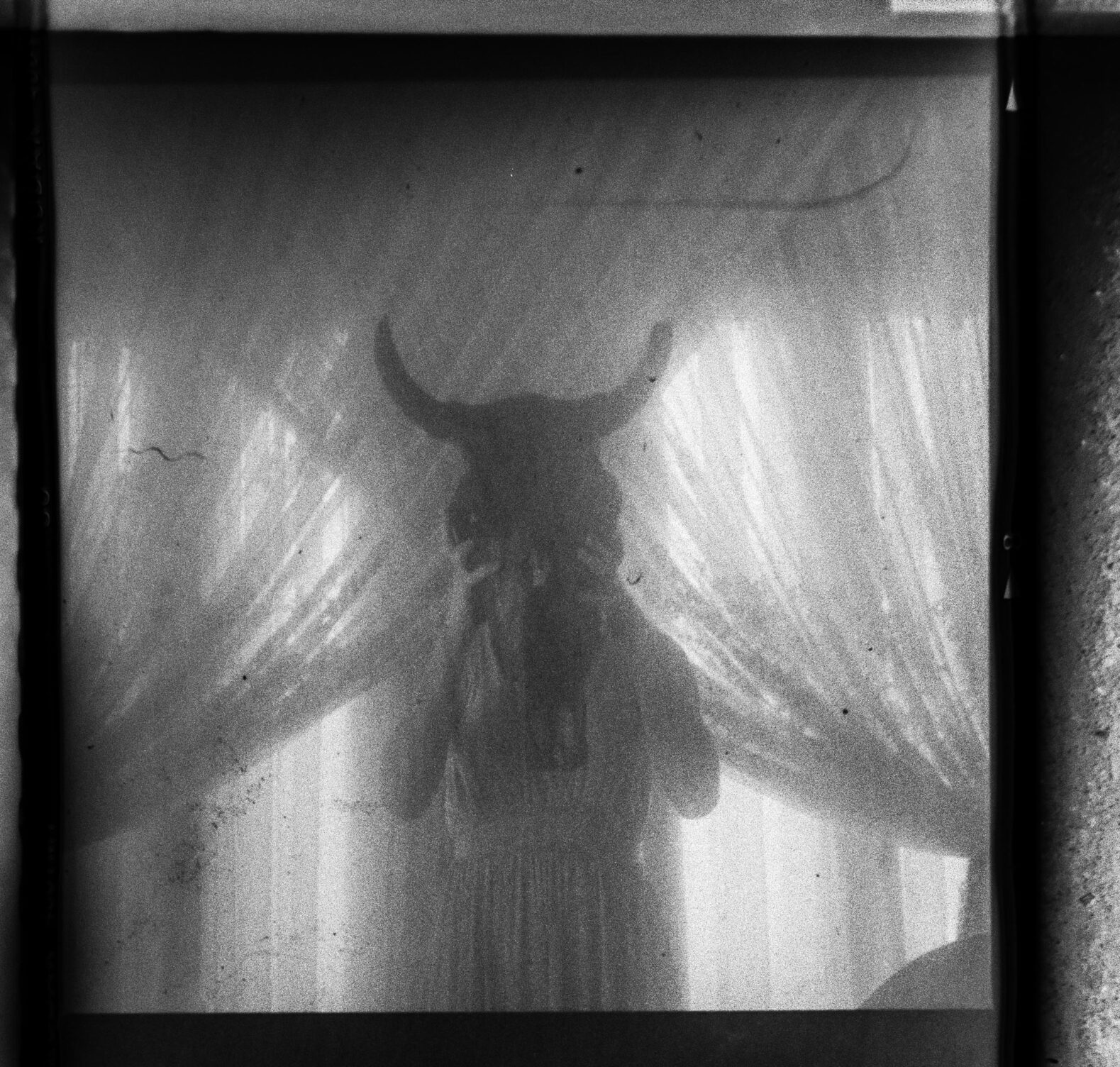 © Luis Cabrera @salteveneno