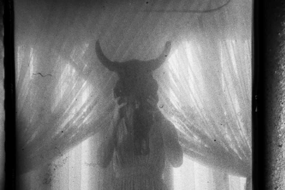 © Luis Cabrera @salteveneno