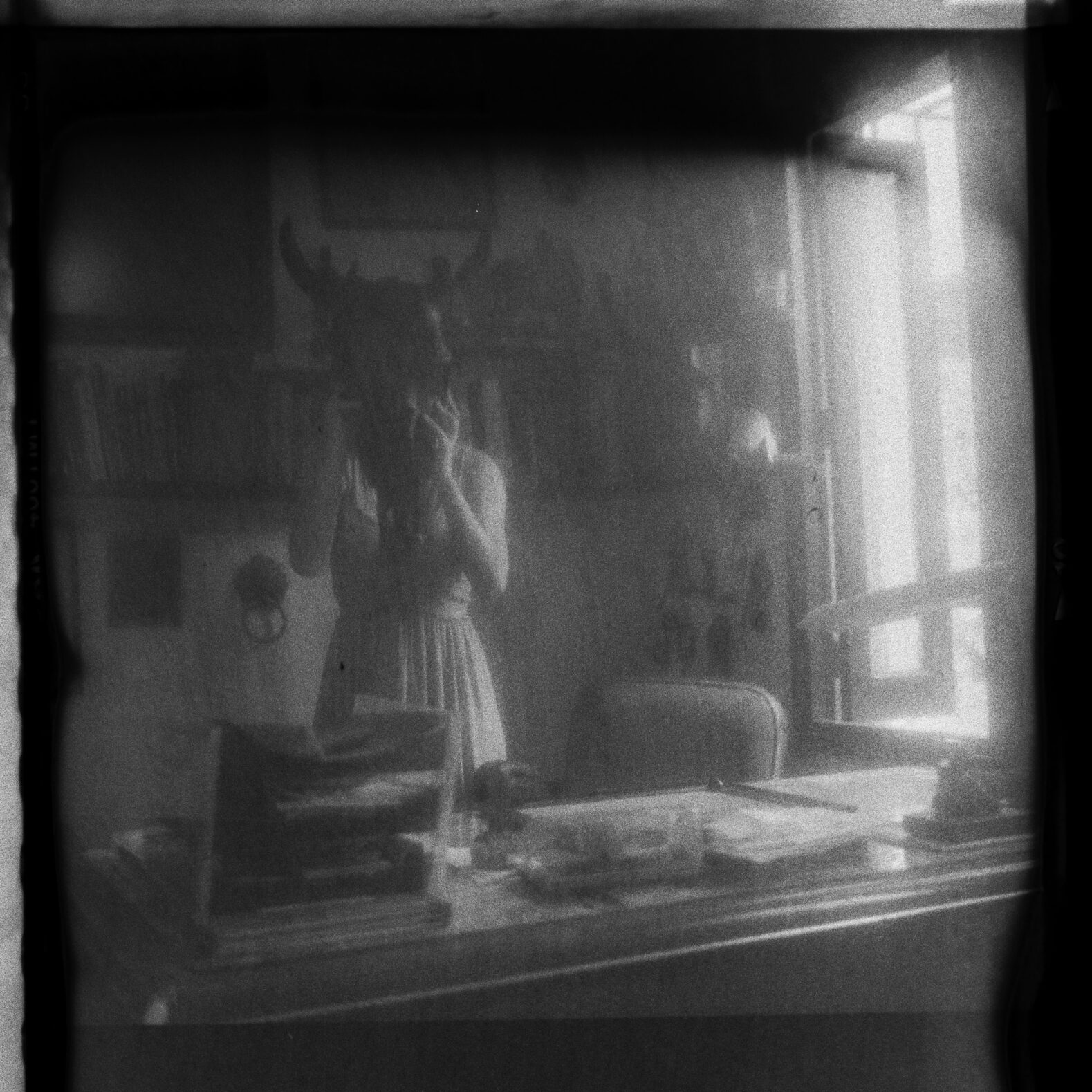 © Luis Cabrera @salteveneno