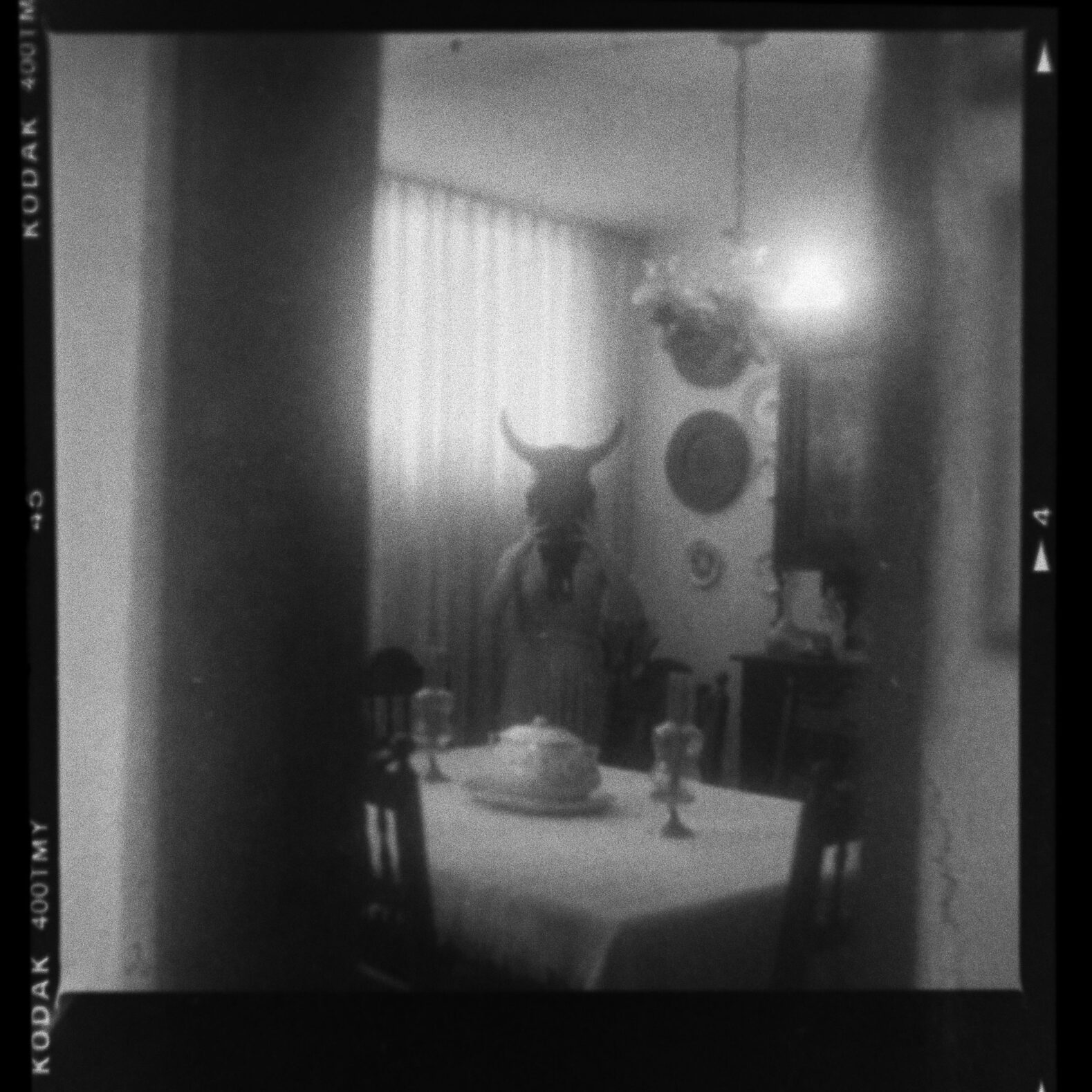 © Luis Cabrera @salteveneno