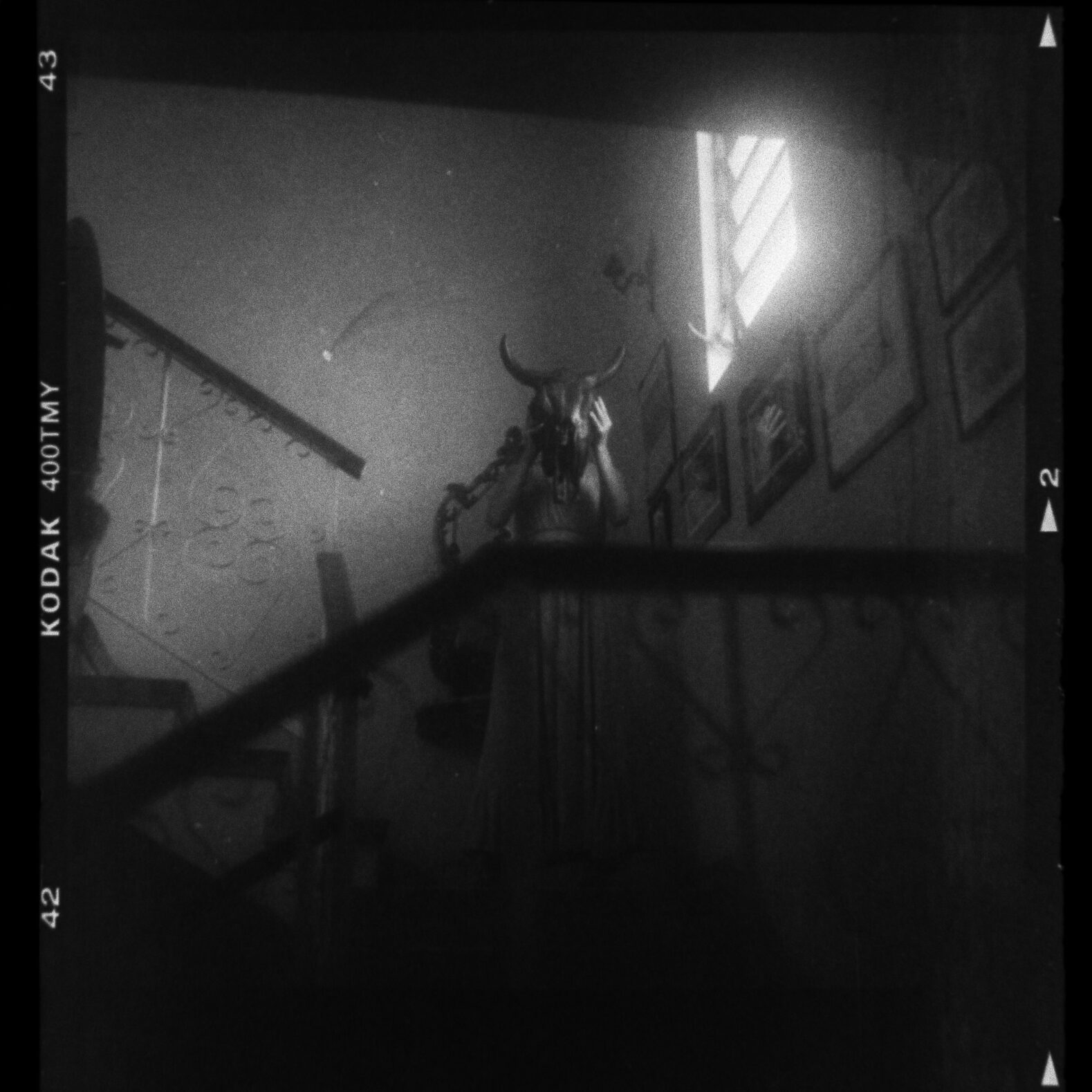 © Luis Cabrera @salteveneno