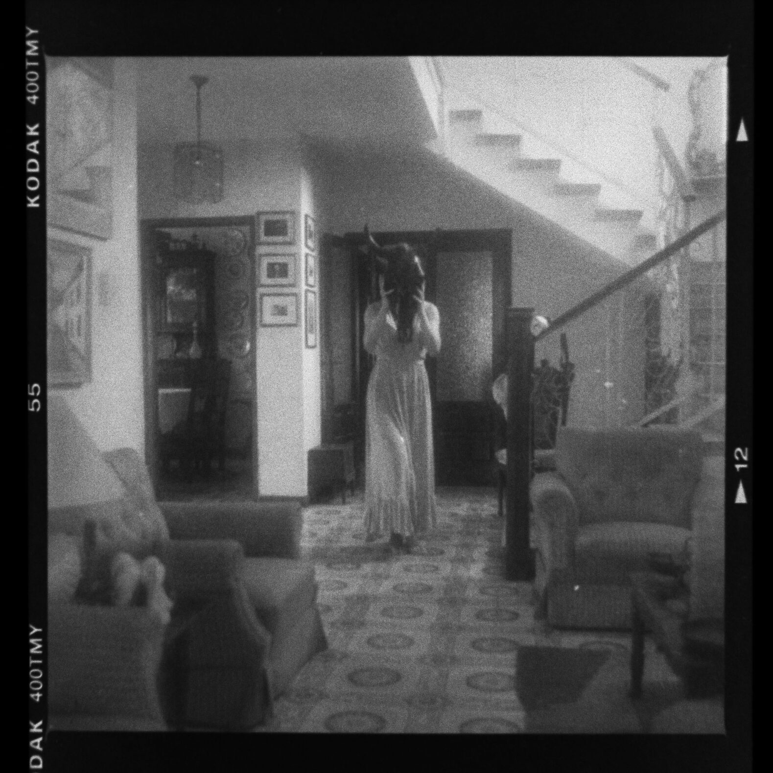 © Luis Cabrera @salteveneno