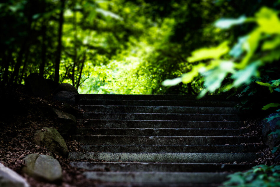 prospect park daniel campos