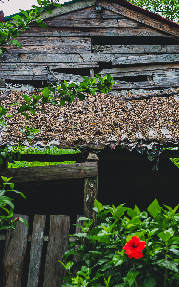 Mali Gallardo ViceVersa Magazine