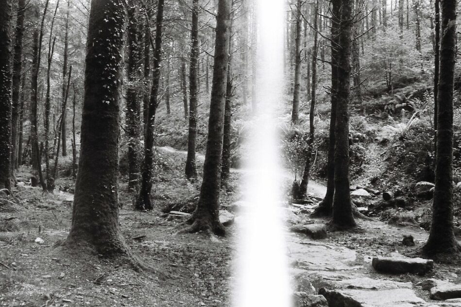 Editorial viceversa magazine