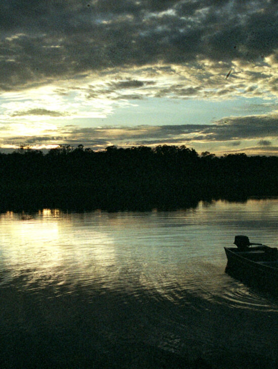 editorial yanomami amazonia